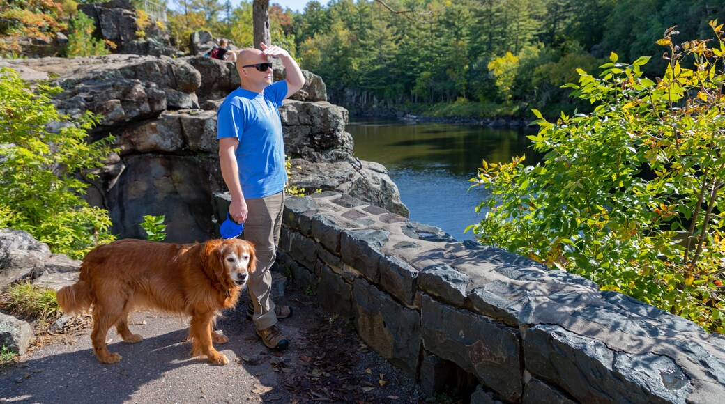 Parc de Gossos River Falls