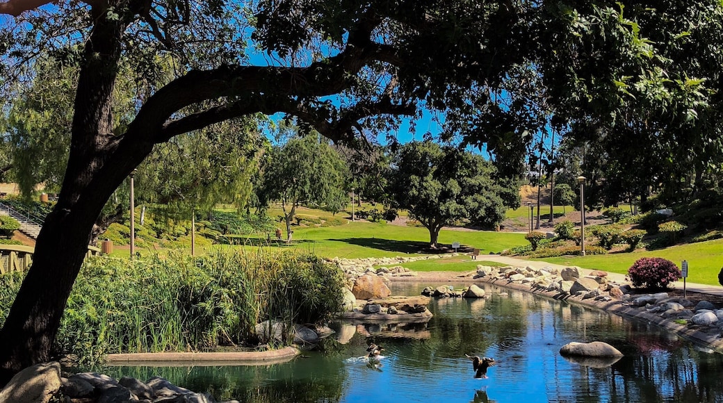 Could not have timed it better. Two ducks landing just as I snapped the pic. I was geocaching in the park with my daughter and stopped for a quick photo
