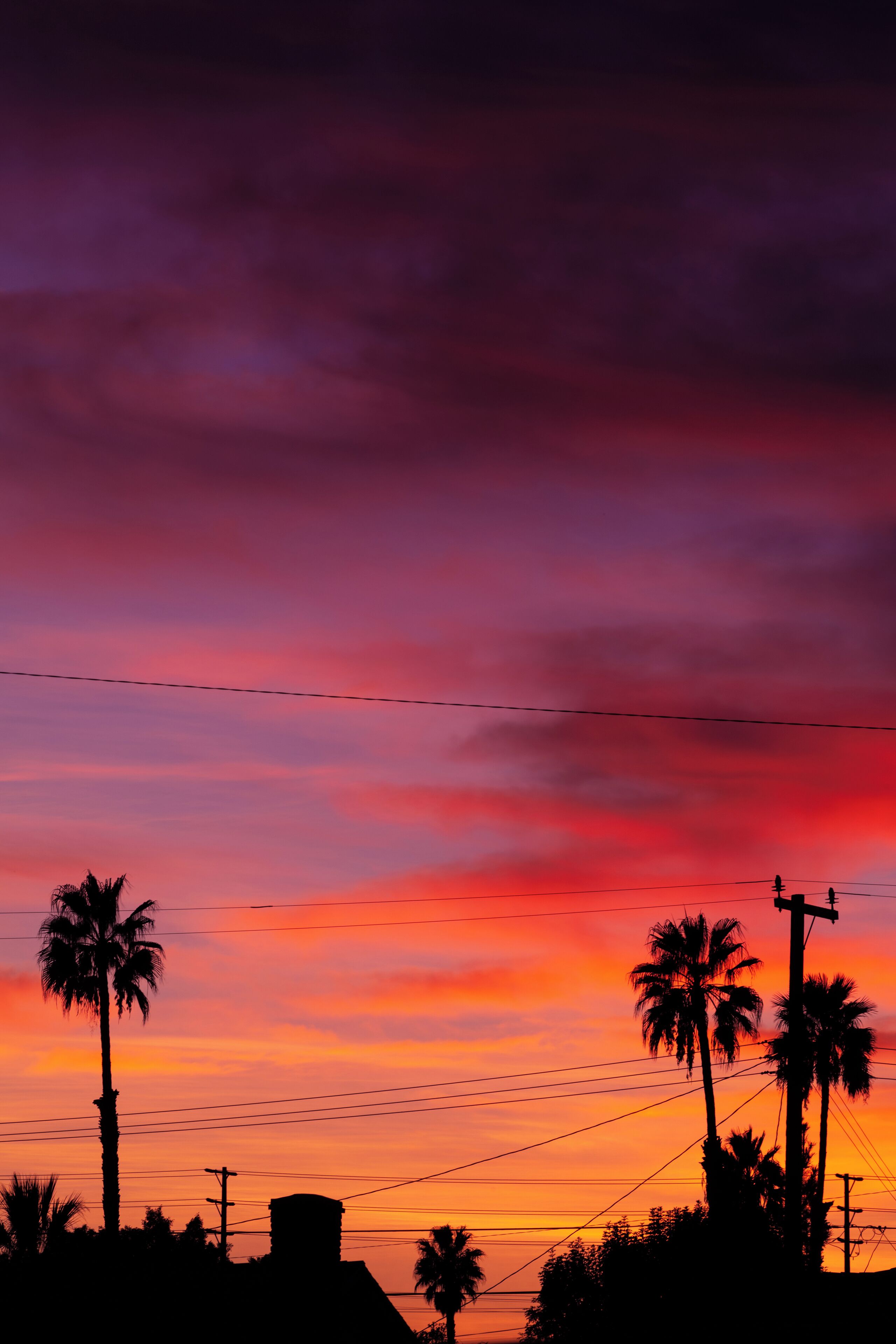 There's beauty everywhere out there just have to open your eyes. This was just out my front door.