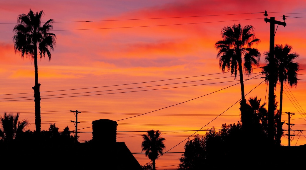 There's beauty everywhere out there just have to open your eyes. This was just out my front door.