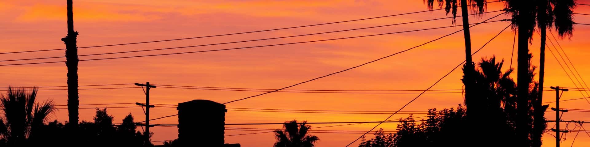Un atardecer con un cielo intenso, palmeras y líneas eléctricas.