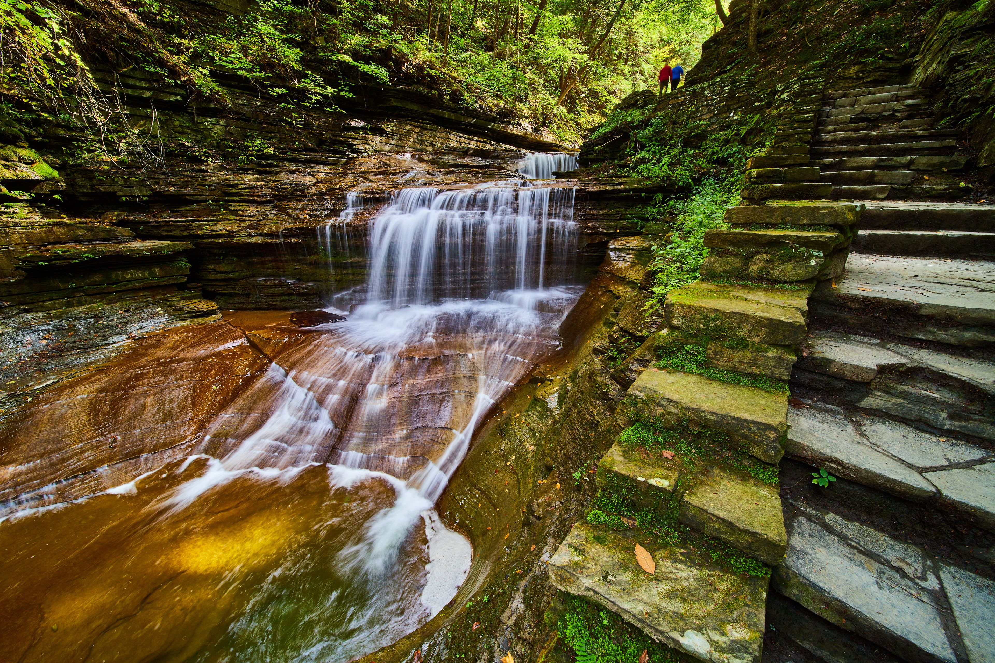 Una cascada se precipita sobre un saliente rocoso hacia una poza, rodeada de exuberante vegetación y escalones de piedra que conducen al agua.