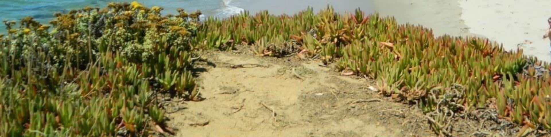 A drive along coast highway will leave you breathless. Lots of stops to pull over and stroll on a beach .