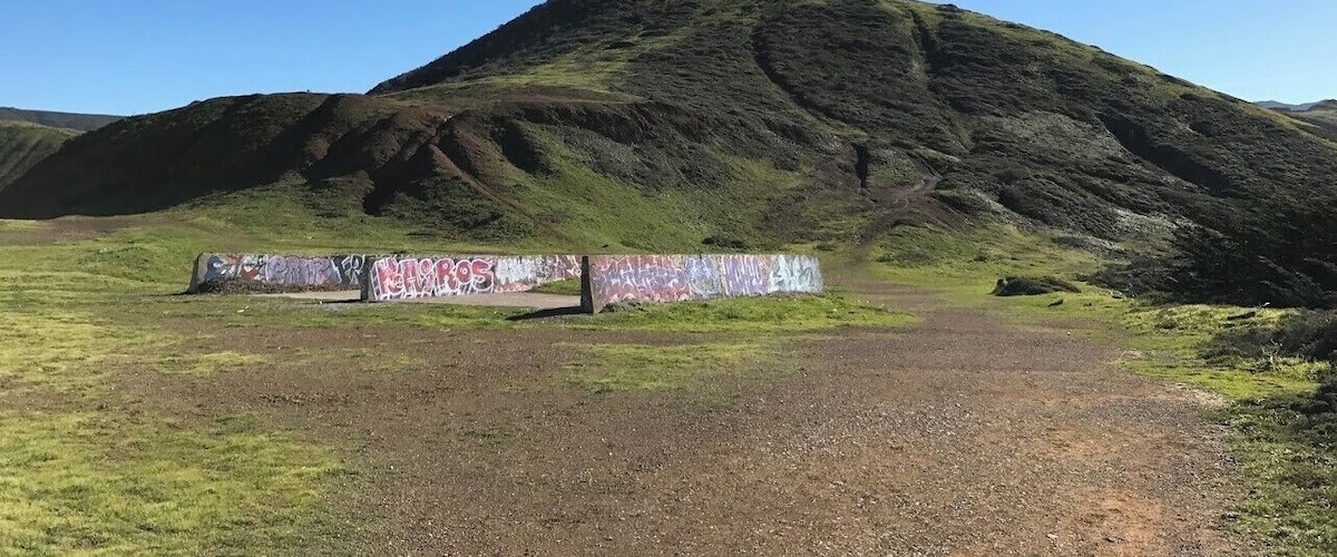 Blemished nature #streetart #lifeatexpedia