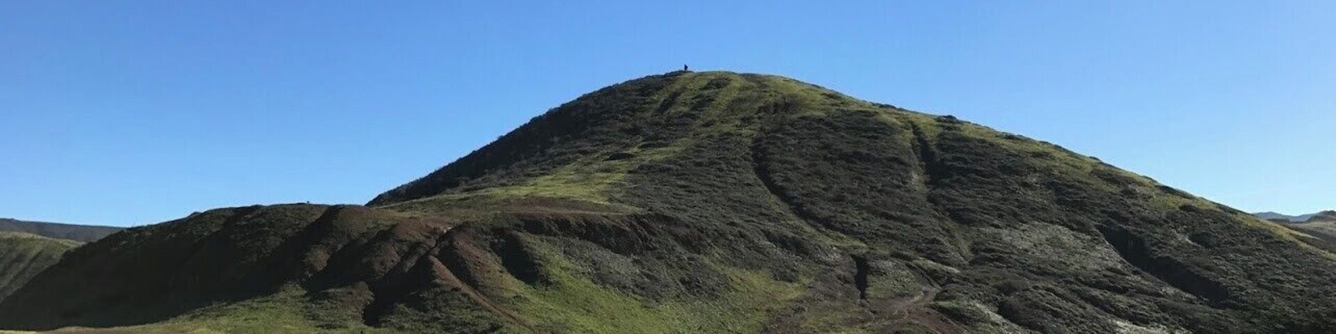 Blemished nature #streetart #lifeatexpedia