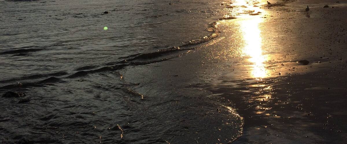 Good morning Pacific Ocean.