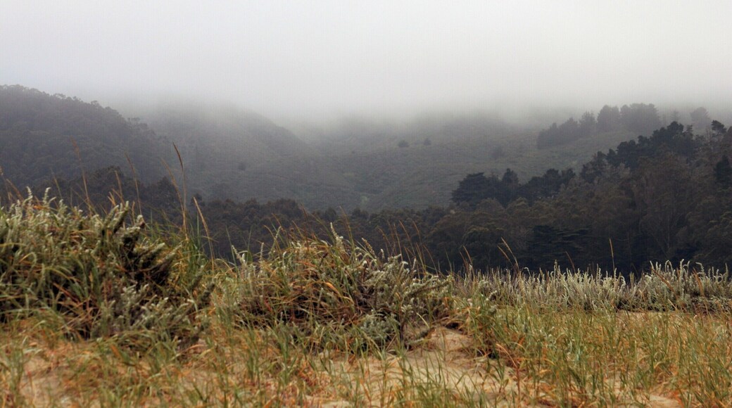 Foggy evening in Pacifica, CA