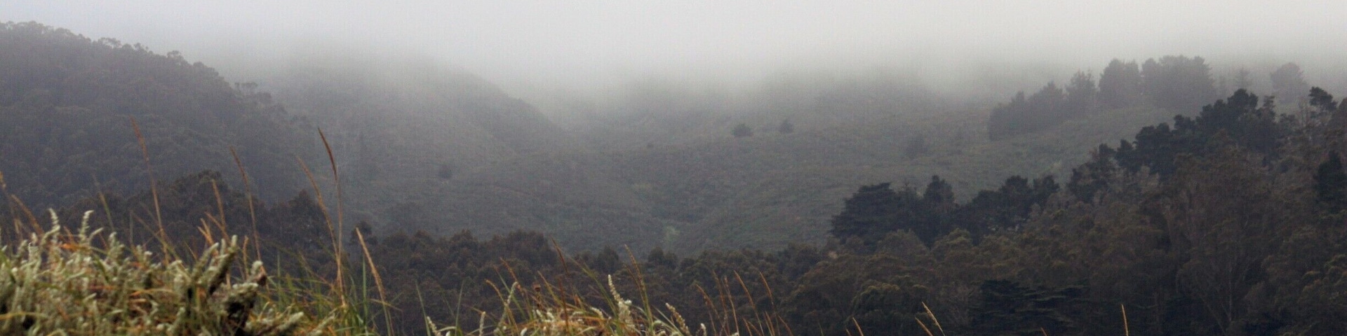 Foggy evening in Pacifica, CA