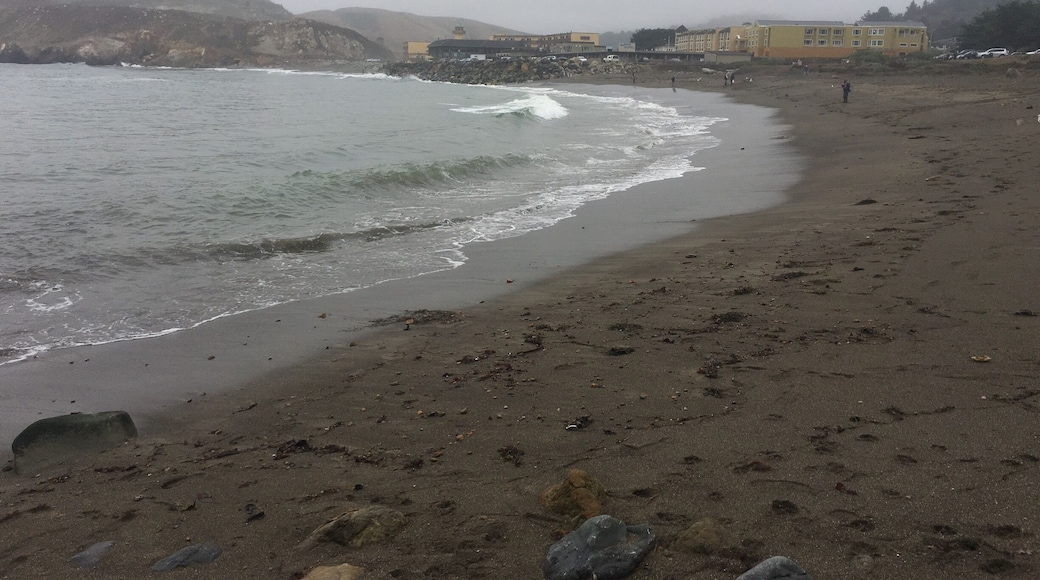 Pacifica September 2017