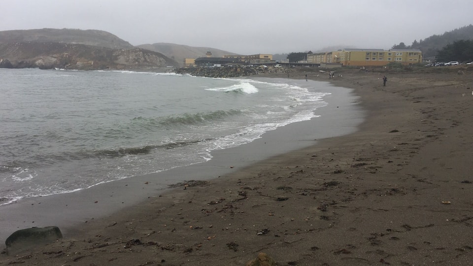 Pacifica September 2017