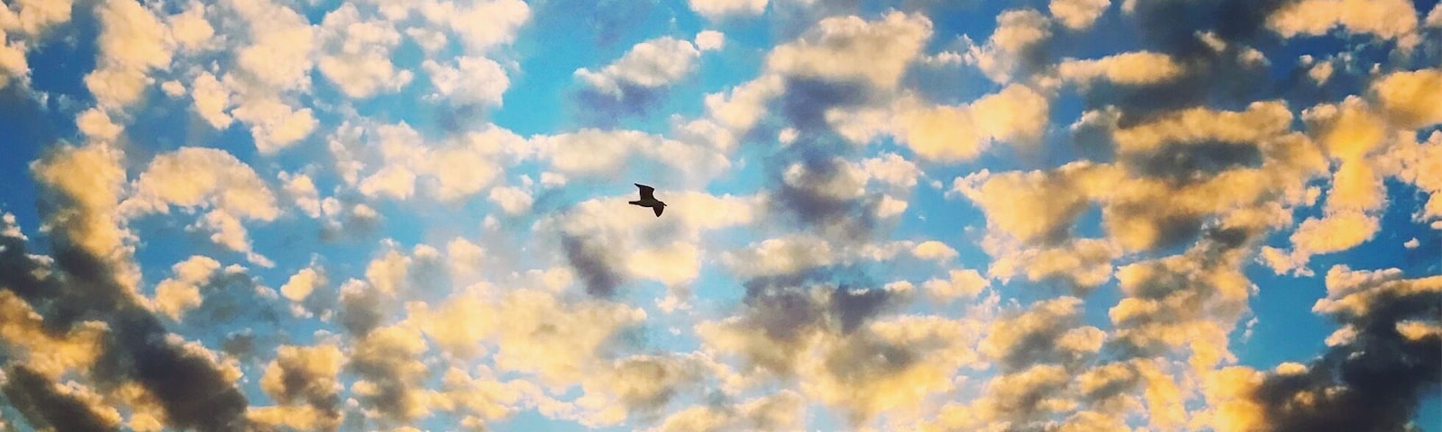 I'm a sucker for a sunset.