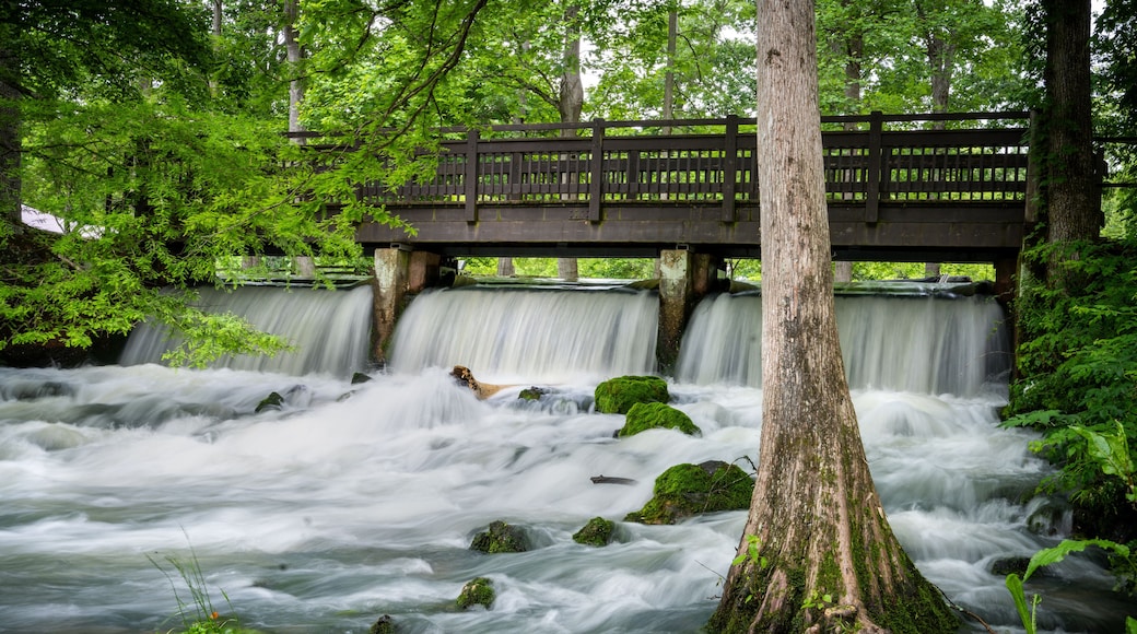 Maramec springs stream and waterfalls in the Ozarks of Missouri