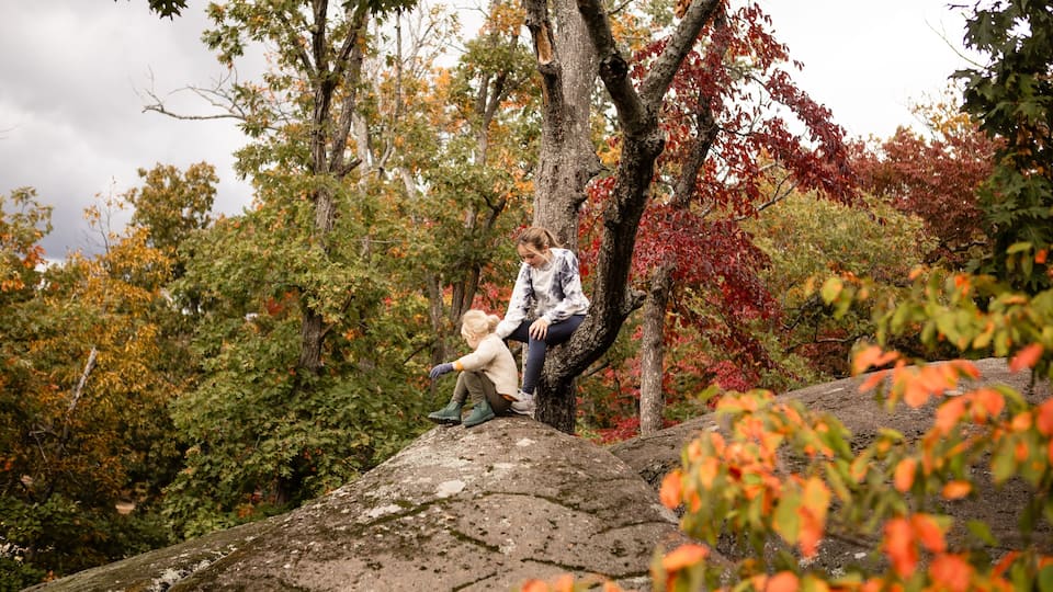 A person sitting on a rock surrounded by autumn foliage.