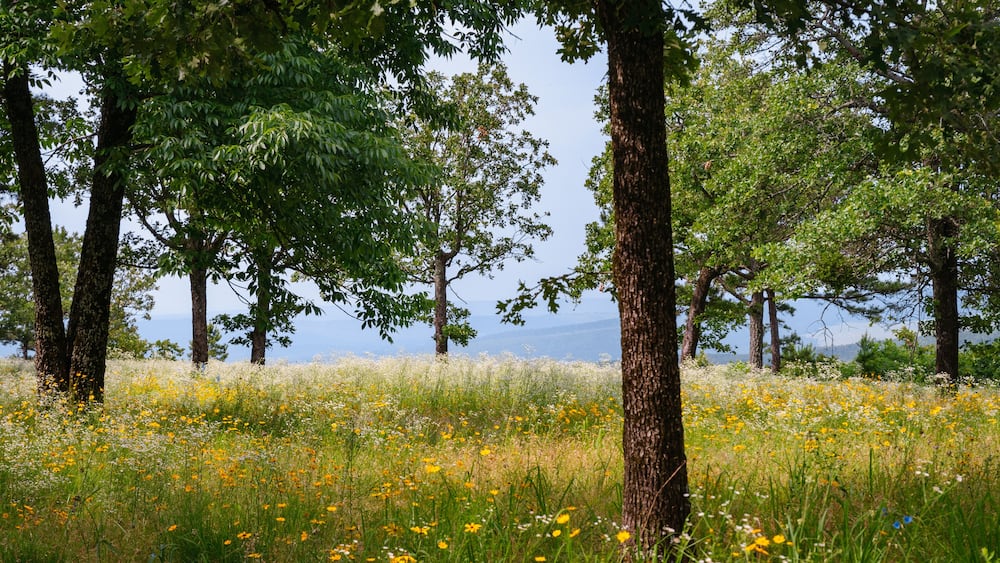 Petit Jean State Park
