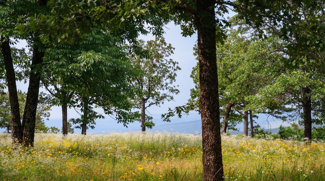 Petit Jean State Park