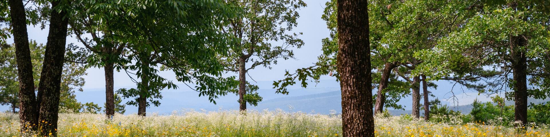 Petit Jean State Park