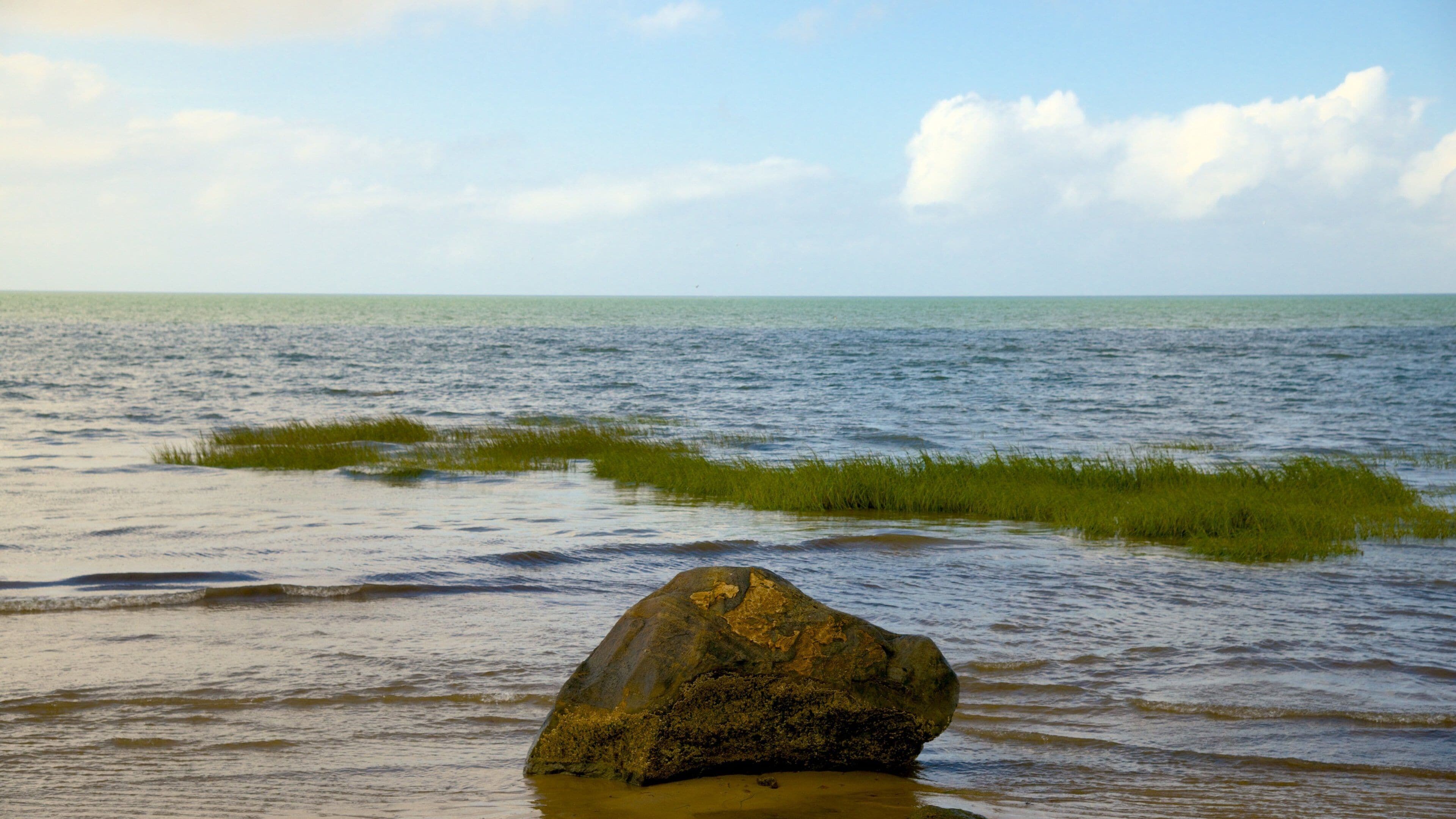 A large rock in shallow water with waves and grass in the distance.