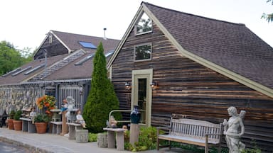 Brewster showing a house