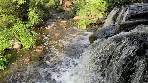 Beautiful place to walk and enjoy the nature