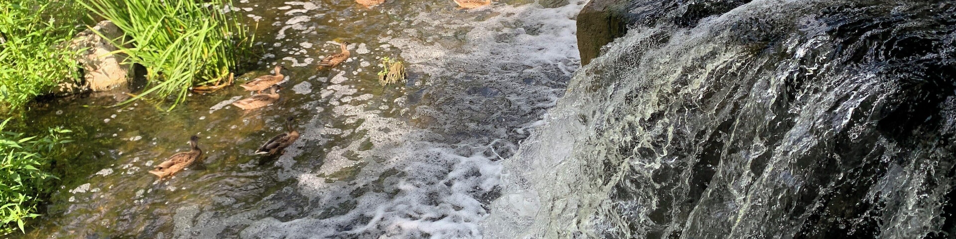 Beautiful place to walk and enjoy the nature