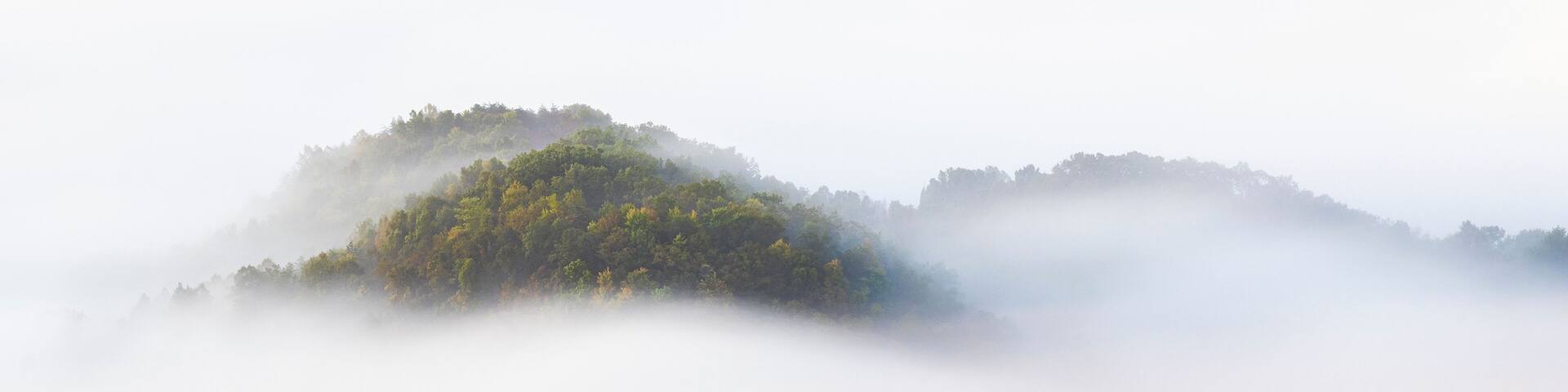A mist-covered island with dense green foliage.