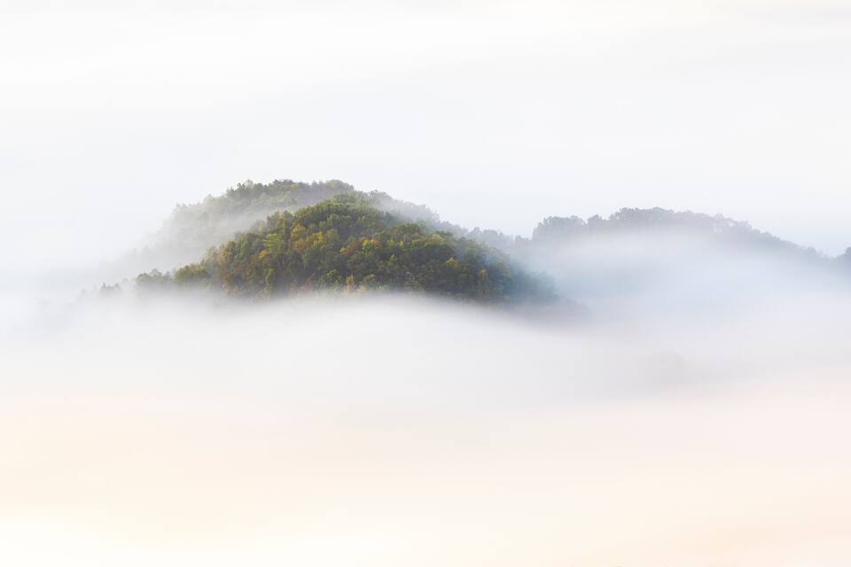 Uma ilha envolta em névoa, coberta por vegetação verde e densa.