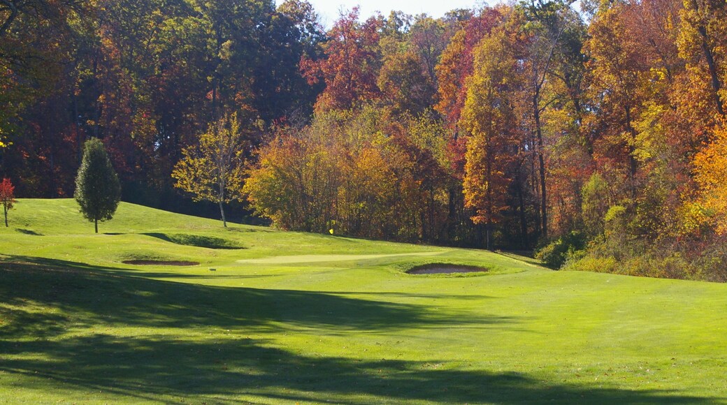 golf course fairway and green in the fall