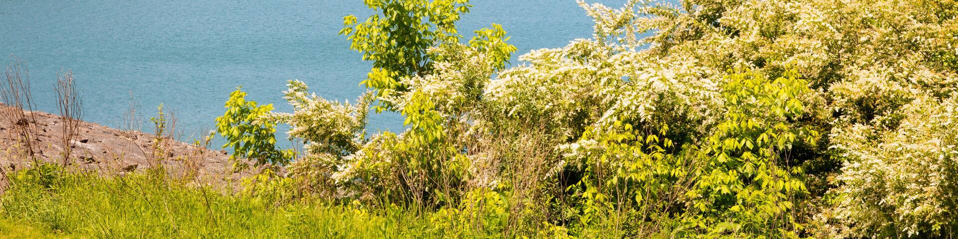 Norris Dam State Park