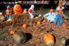 Halloween Characters in Pumpkin Patch, Maggie Valley, Tennessee