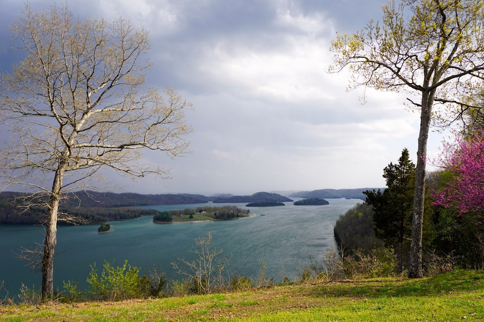 A river with islands, surrounded by trees and hills.