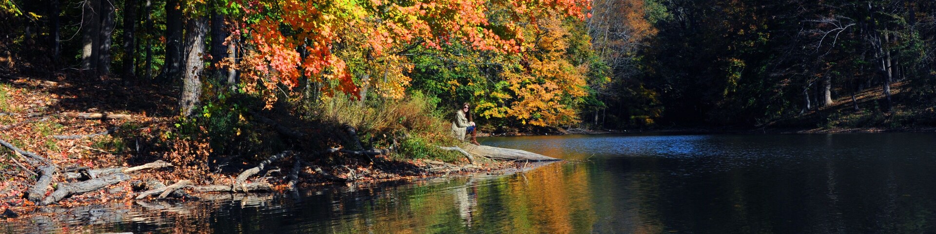 Alone Time of Poplar Tree Lake