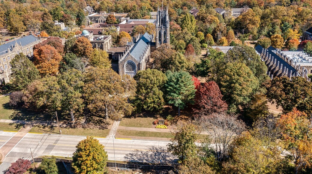 Cumberland University