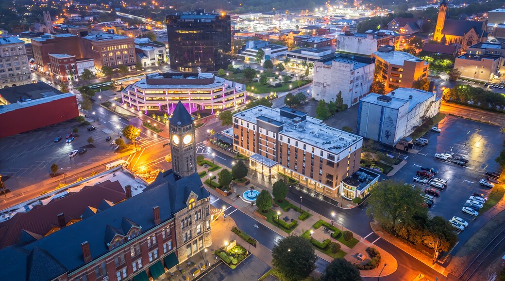 Ajuntament de Springfield