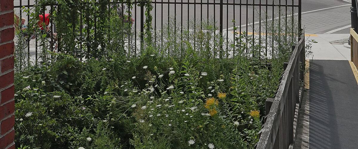 Old historic buildings on the street of Biddeford, Maine
