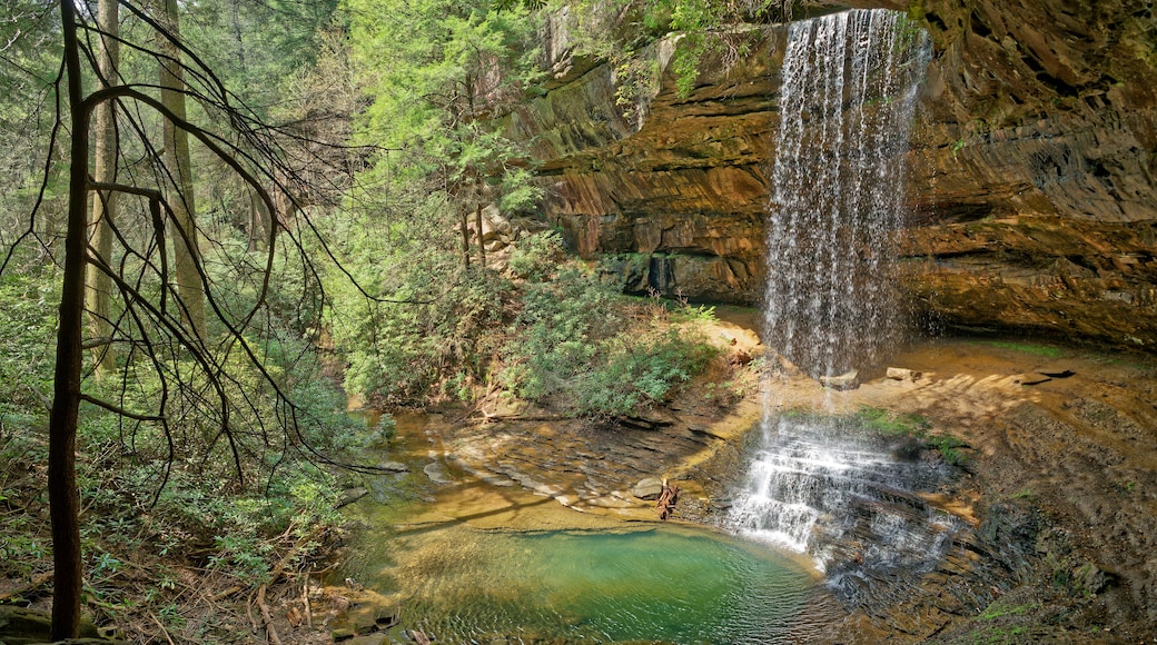 Colditz Cove State Natural Area
