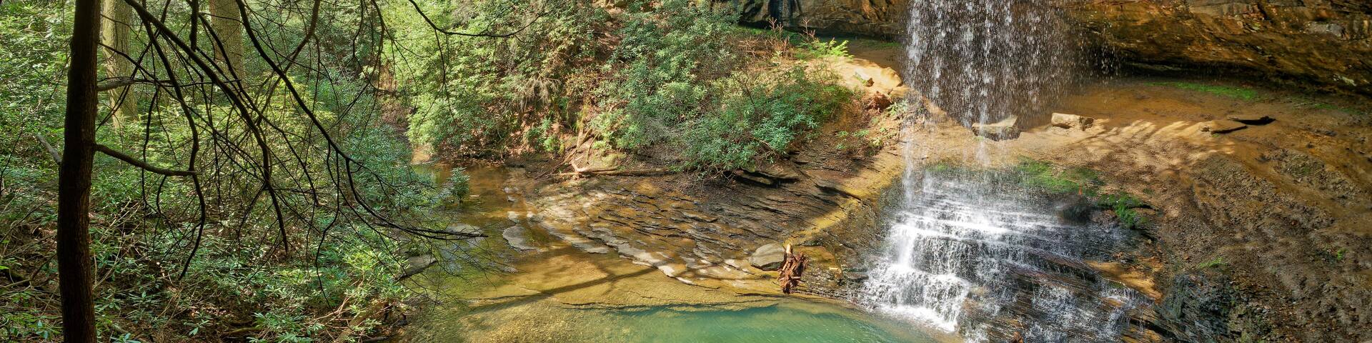 A waterfall cascading into a clear pool surrounded by dense forest.