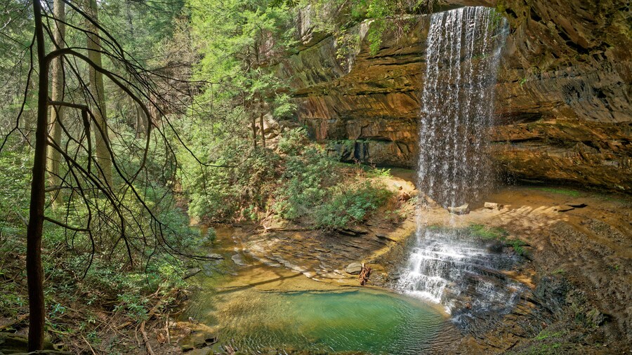 Khu tự nhiên bang Colditz Cove