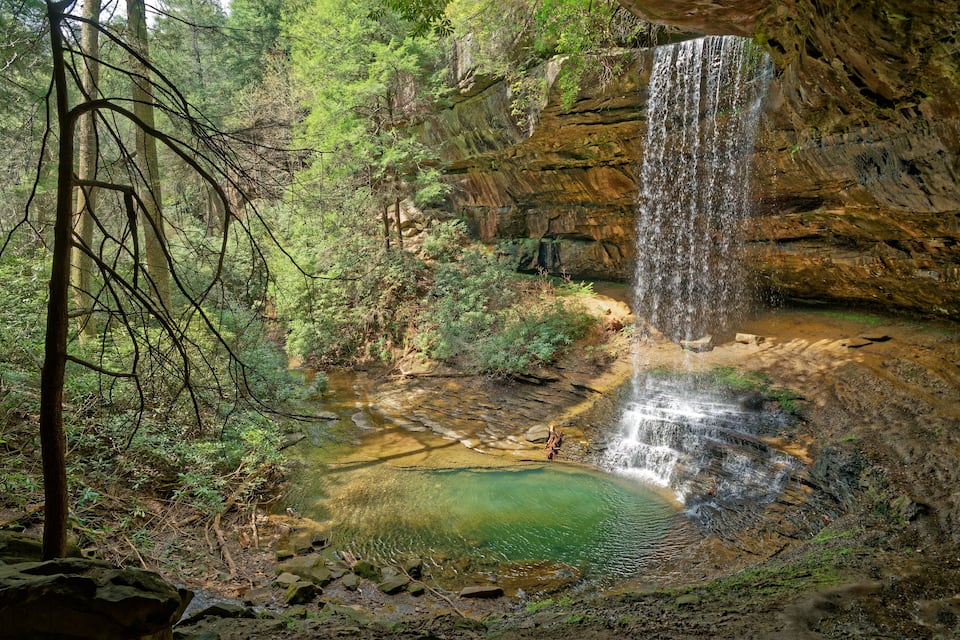 A waterfall cascading into a clear pool surrounded by dense forest.