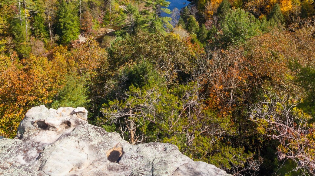 Obed Wild and Scenic River