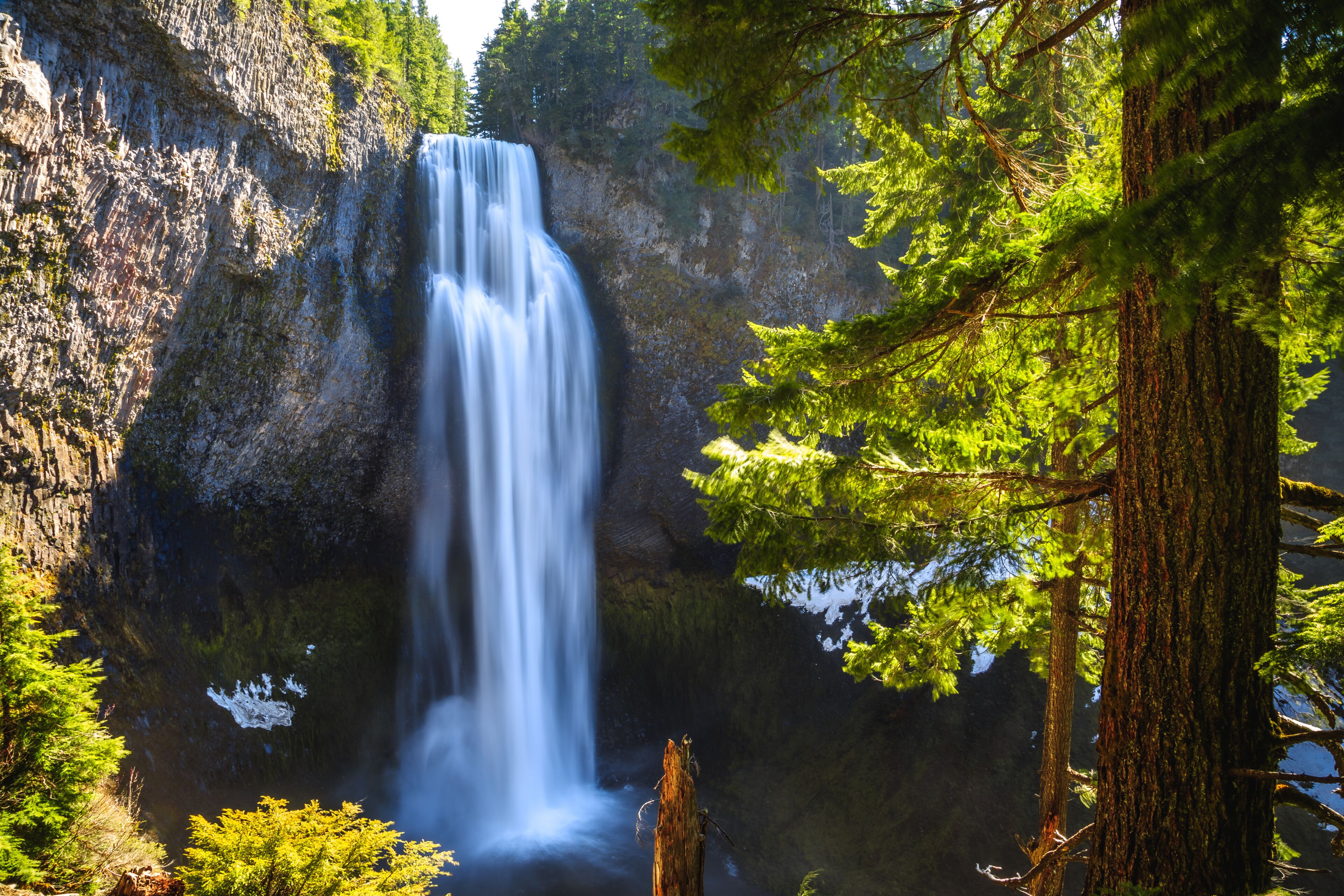 A waterfall cascading down a rocky cliff surrounded by evergreen trees.