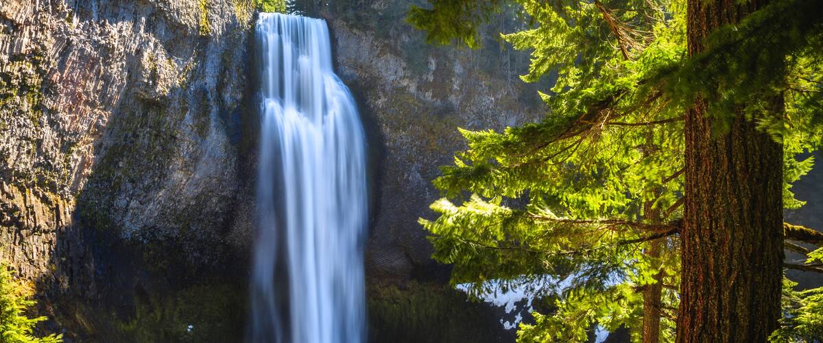 A waterfall cascading down a rocky cliff surrounded by evergreen trees.