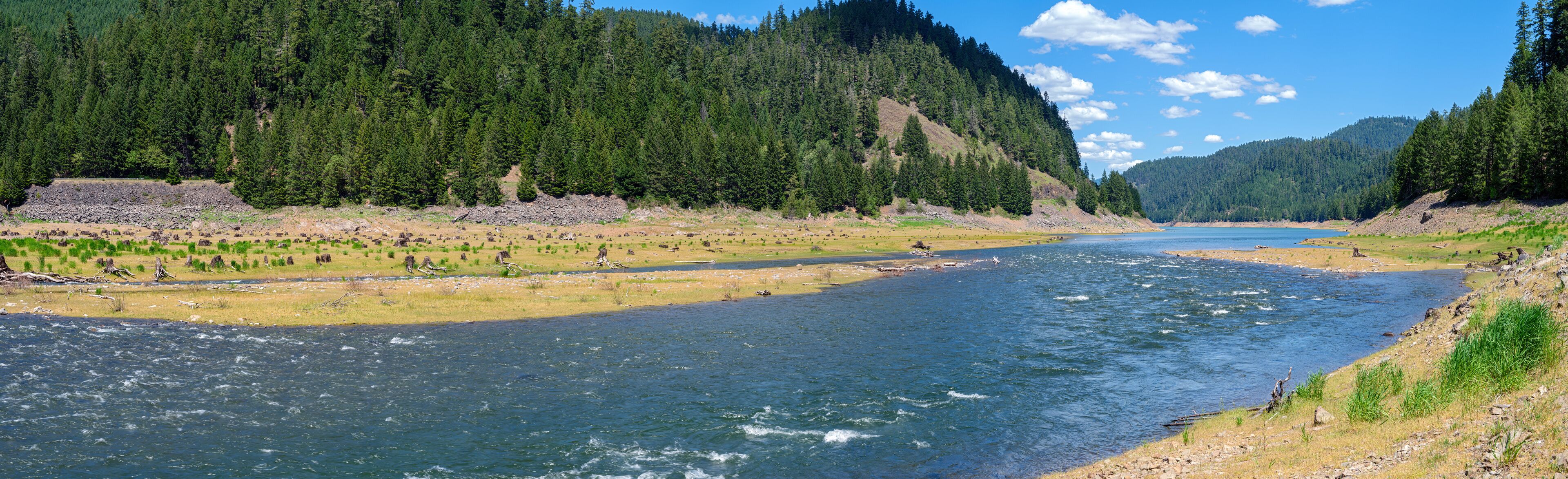A river flowing through a forested valley with a rocky shoreline and a mountain in the background.