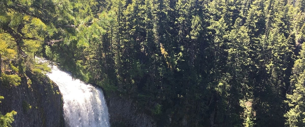 Beautiful waterfall and second tallest in Oregon. Maybe half a mile "hike" from the parking lot. Paved and wheelchair friendly. Really neat how the trail is literally paved on the side of a cliff however there are guardrails and barriers great for safety, sucky if you want to be in any of the photos. Salt Creek Falls connects to Diamond Creek Loop. #hike #oregon #waterfalls #trails #wheelchairsafe #familyfriendly #kidsfun #dogfriendly #adventure #explore #outdoors #summerfun