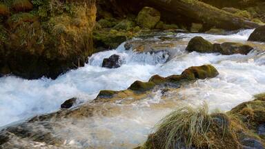 Oakridge caratteristiche di rapide