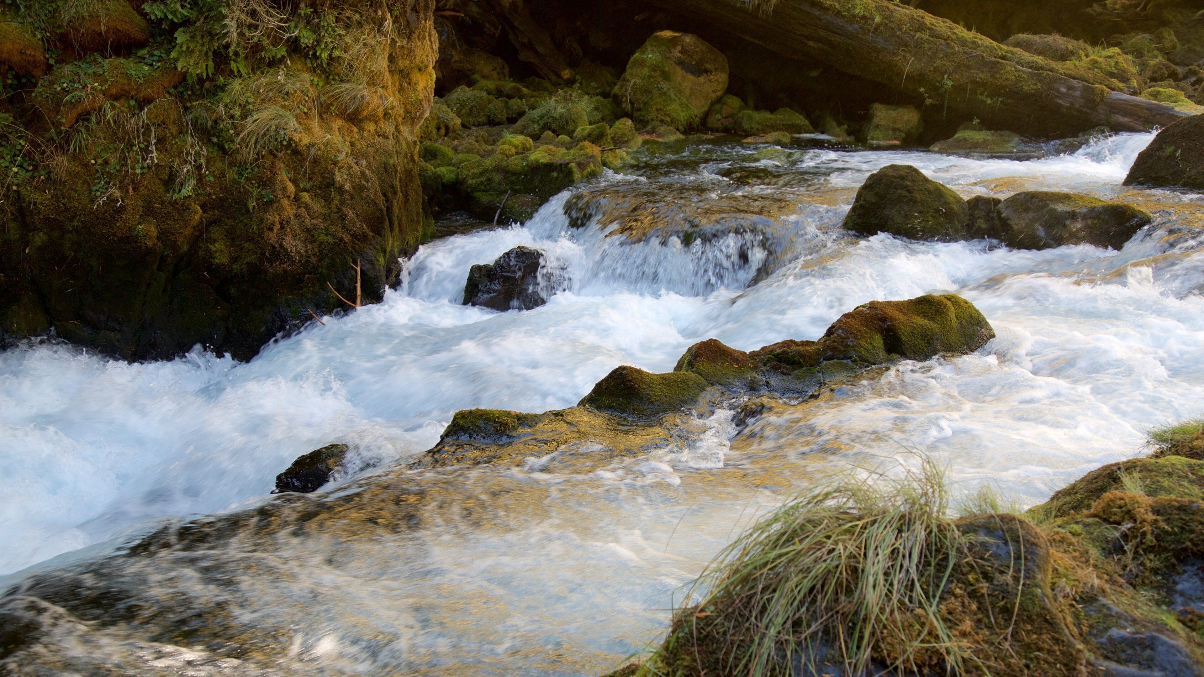 A fast-flowing river with moss-covered rocks and a waterfall.