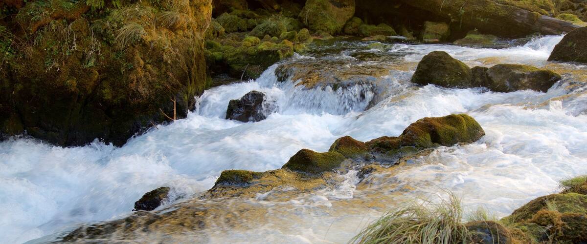 A fast-flowing river with moss-covered rocks and a waterfall.