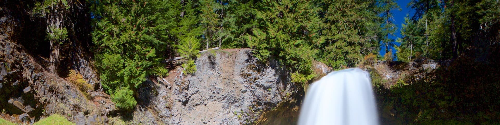 Oakridge showing rainforest and a cascade