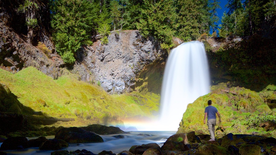Oakridge featuring rainforest and a waterfall