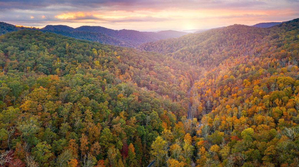 Pisgah View State Park