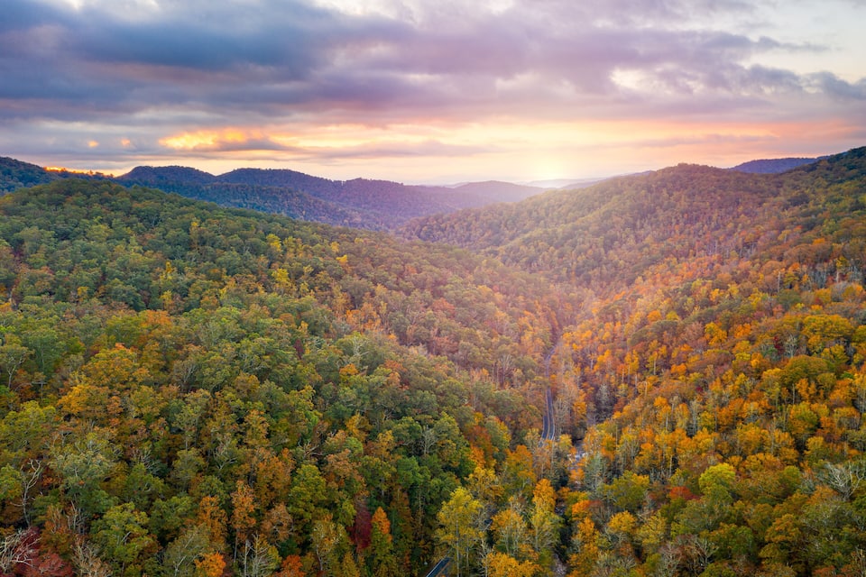 A forested valley with autumn foliage and a winding road.